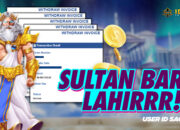 Petir Zeus Mengguncang! ID SAGRA*** Raih Rp205 Juta dari Gates of Olympus 1000 di INDOKASINO