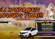 Petir Zeus Pecah! BRIOME*** Bawa Pulang Rp300 Juta di INDOKASINO